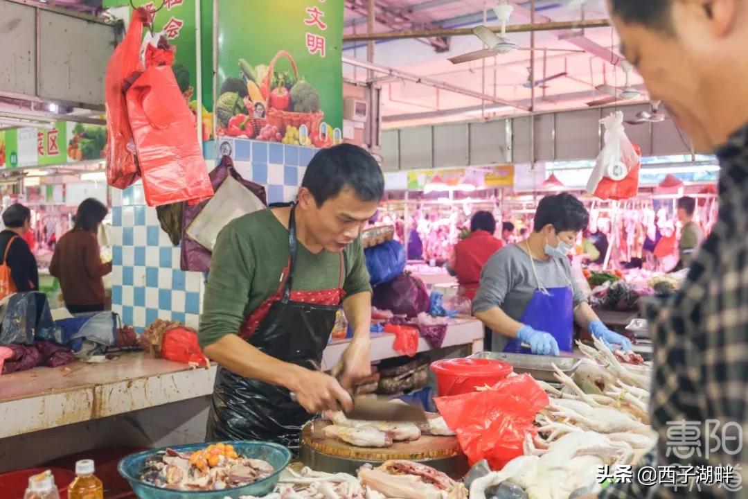 惠州淡水和台湾淡水,千山万水不如惠州淡水什么意思