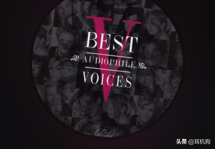 乐图墨菊值得入手吗,乐图菊花台旗舰播放器评测