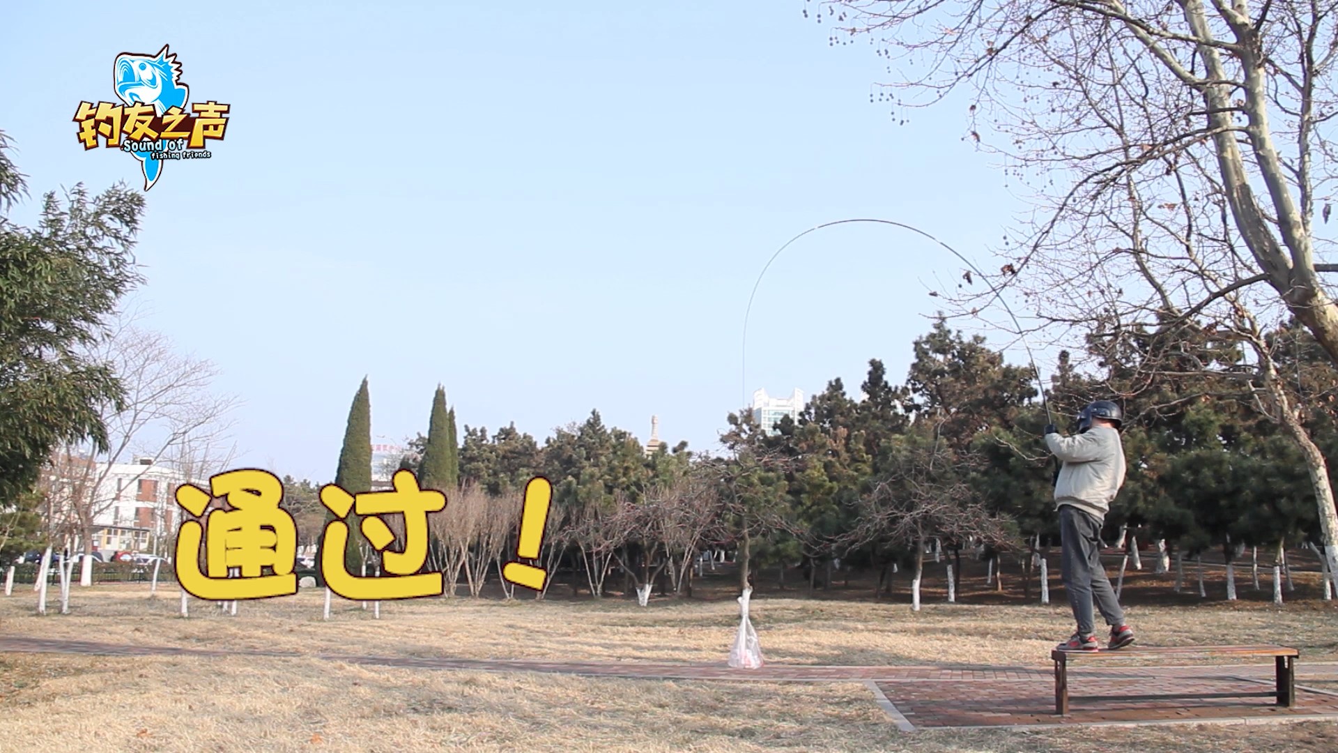 汉鼎鲢鳙魂鱼竿手竿台钓竿,汉鼎鱼竿超轻超硬手竿碳素台钓竿