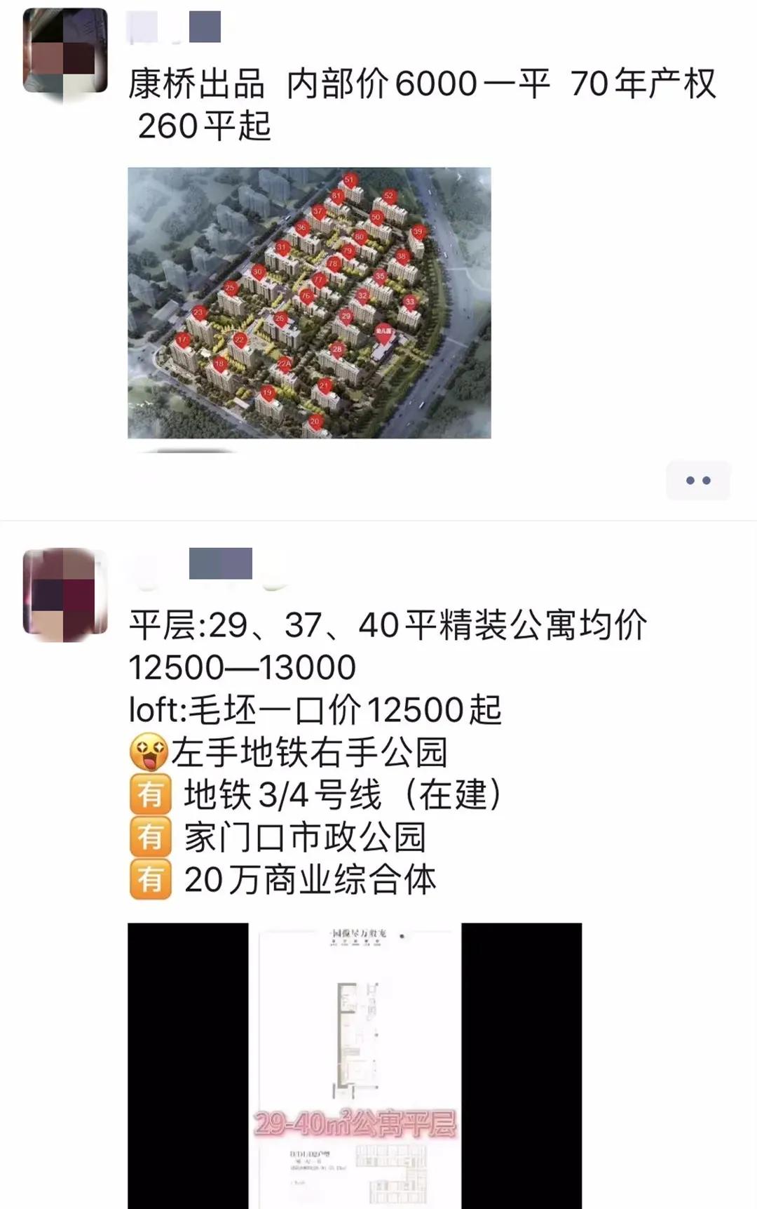 房地产开发商集资骗局,房地产集资骗局