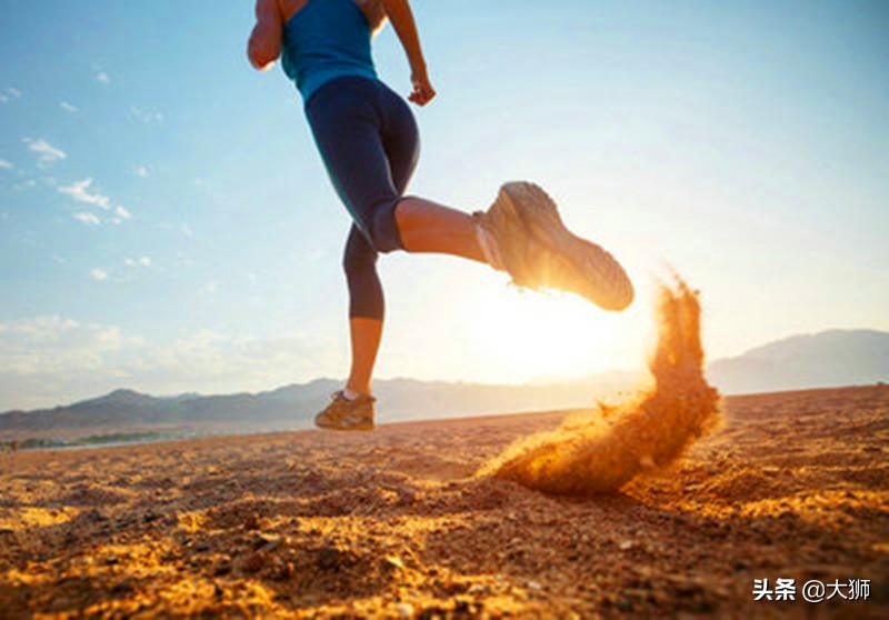 奔跑吧兄弟郑恺速度,奔跑吧兄弟和电车比速度