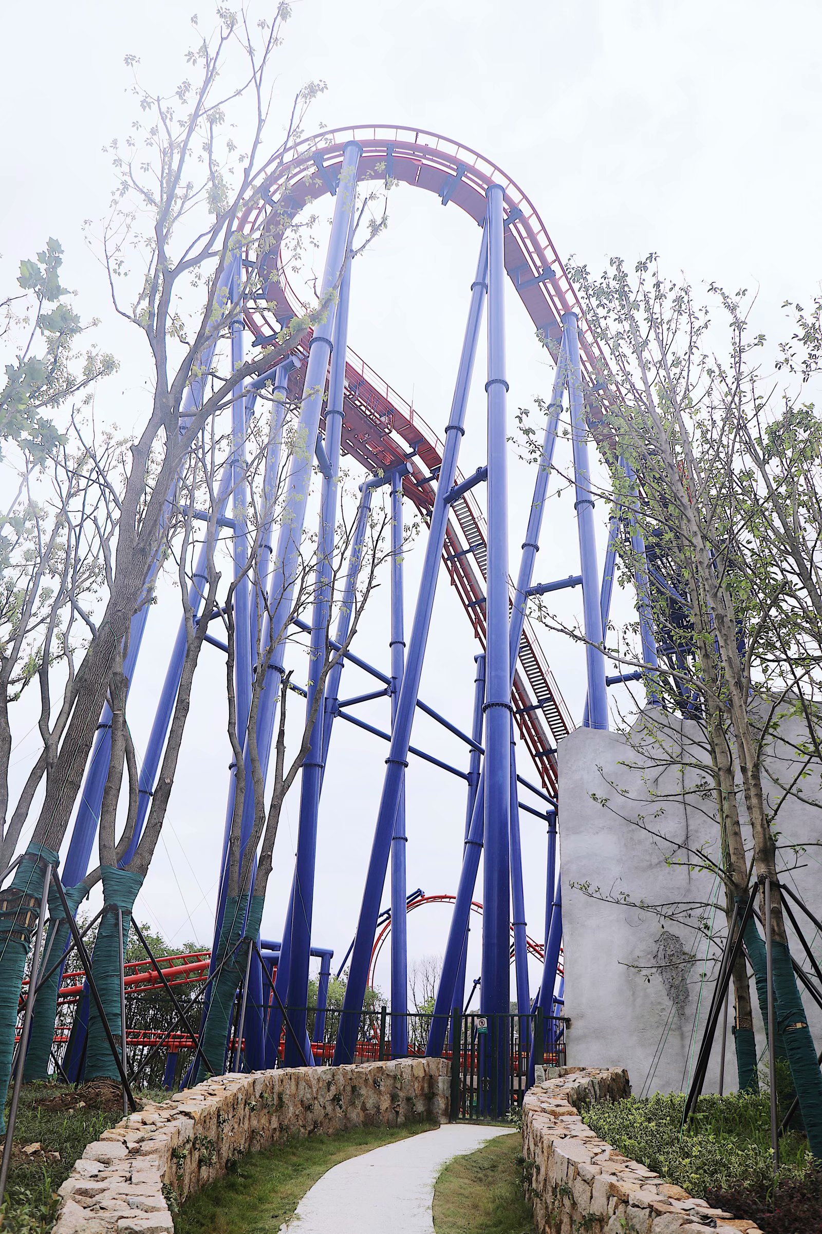 苏州乐园森林水世界几月份开始,乐园森林世界手游攻略