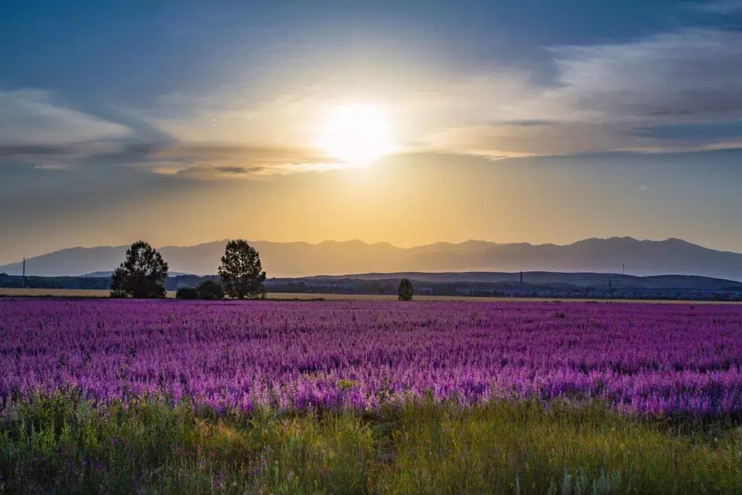 2019必去的旅行地,8月最新旅行地推荐