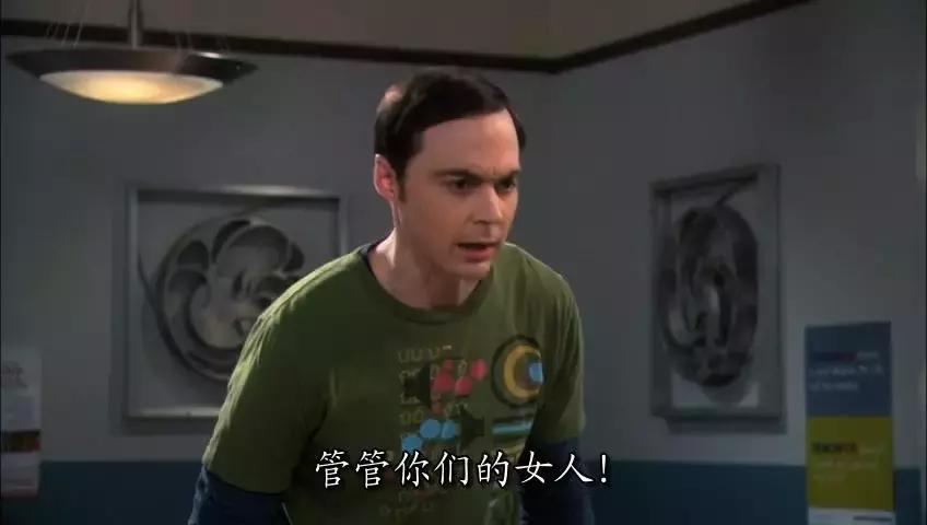 《生活大爆炸》大结局：我28岁，追了它整整9年，你呢？