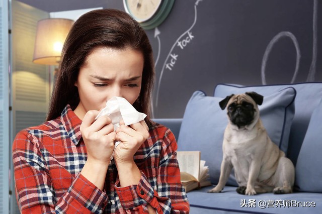 哮喘每晚呼吸困难,哮喘天天犯怎么办