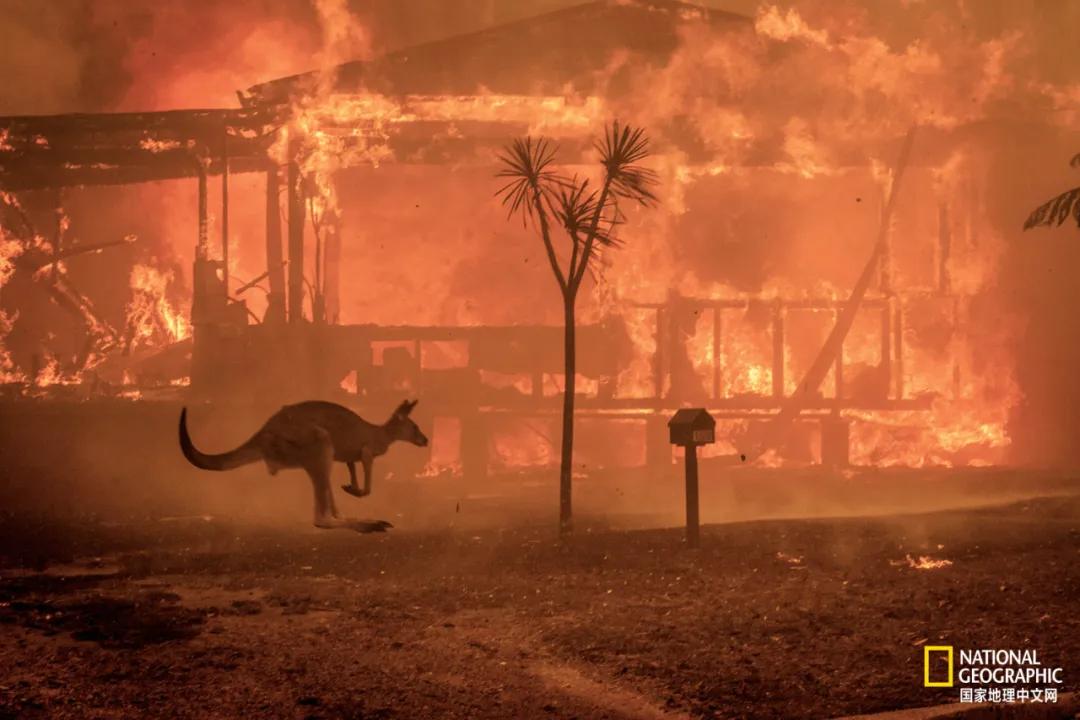我们的地球很老了吗,地球还能再活几岁