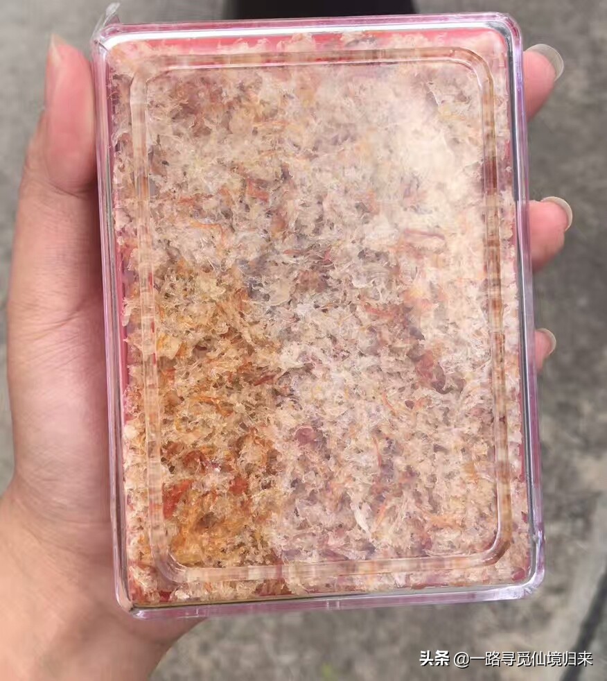 刷哇滴卡，任性！用完泰铢，只剩下钢镚了，回家