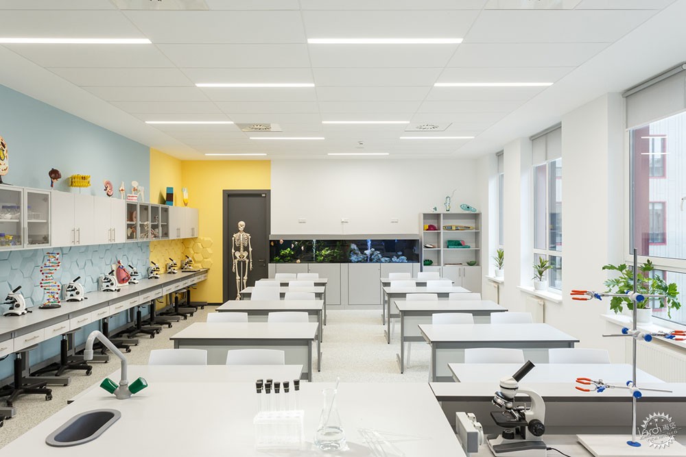 斑斓世界中的一抹白——基辅GymnasiumА+学校