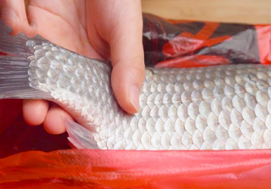 原来刮鱼鳞这么简单，多一个塑料袋，鱼鳞就不乱溅了，又快又干净