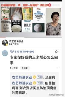 你家的玉米烂心吗？病害还是虫害？发病规律是什么？如何防治？