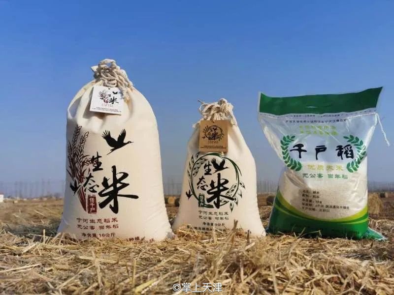 低调的王者完整版,低调的王者奥迪