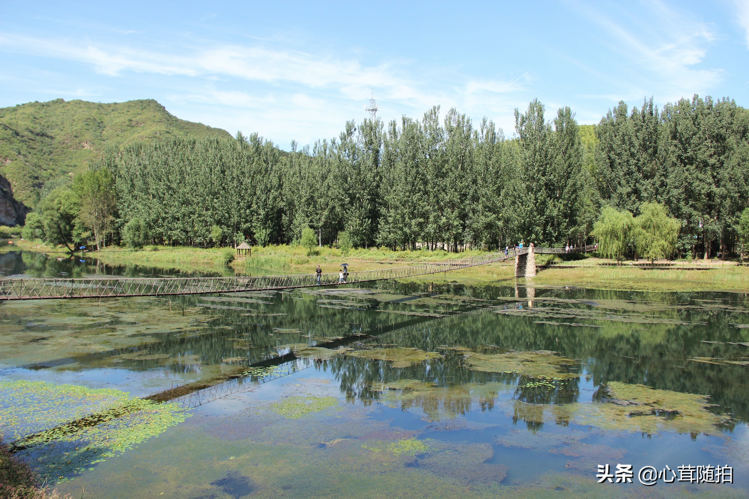 自驾白河湾,白河湾自然风景区自驾