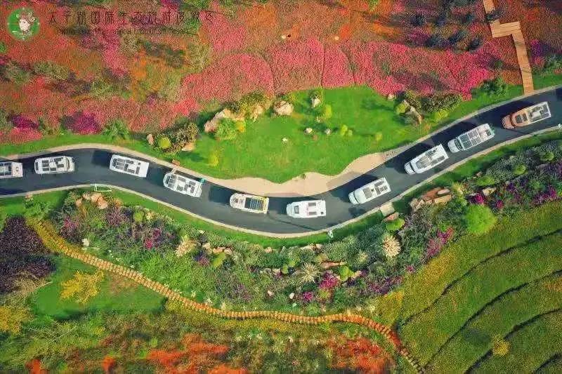 阳春三月踏青吟,阳春三月诗和风景