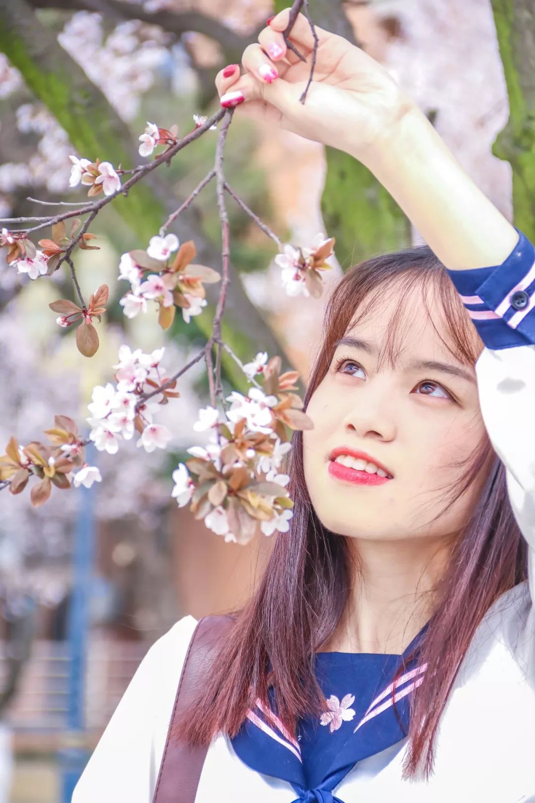 西南民大值得去读吗,西南民大是什么级别