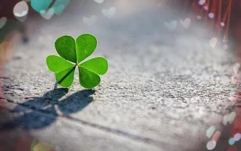 宜昌人被骗20万,上海小区居民被骗48万