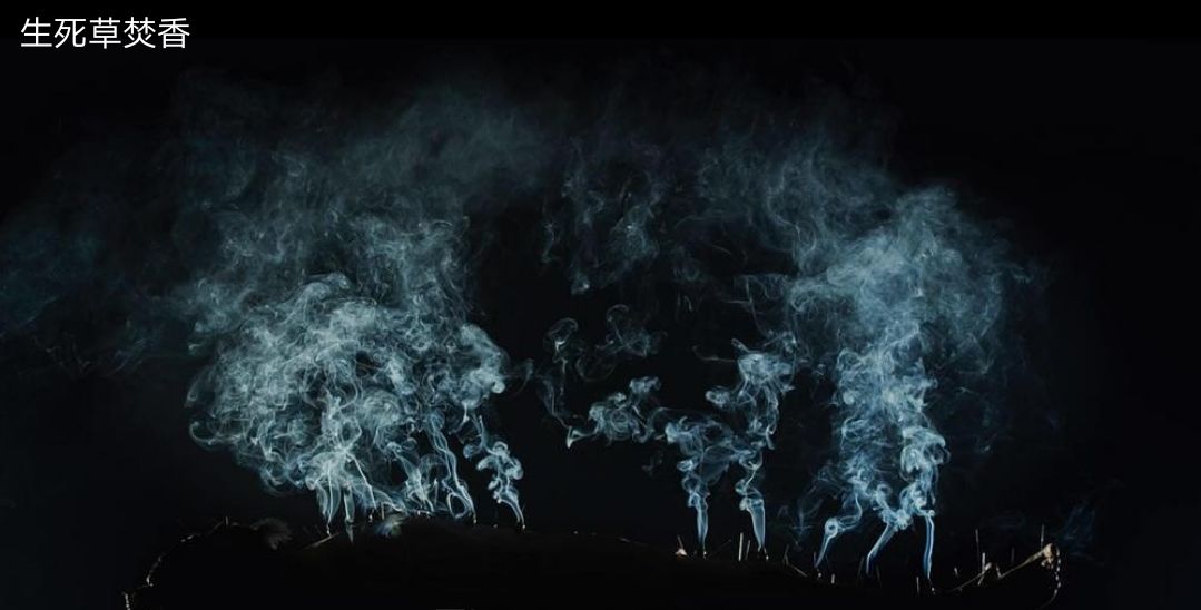 韩剧最新出的丧尸片,最劲爆的丧尸韩剧