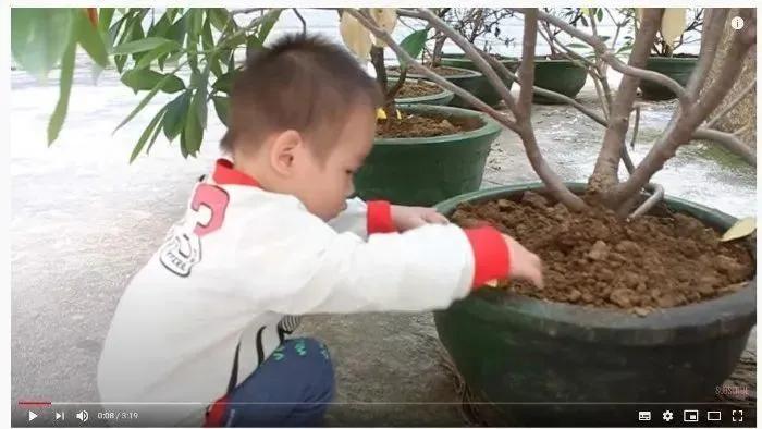 领养孩子后可以弃养吗,领养的孩子过了18岁能弃养吗