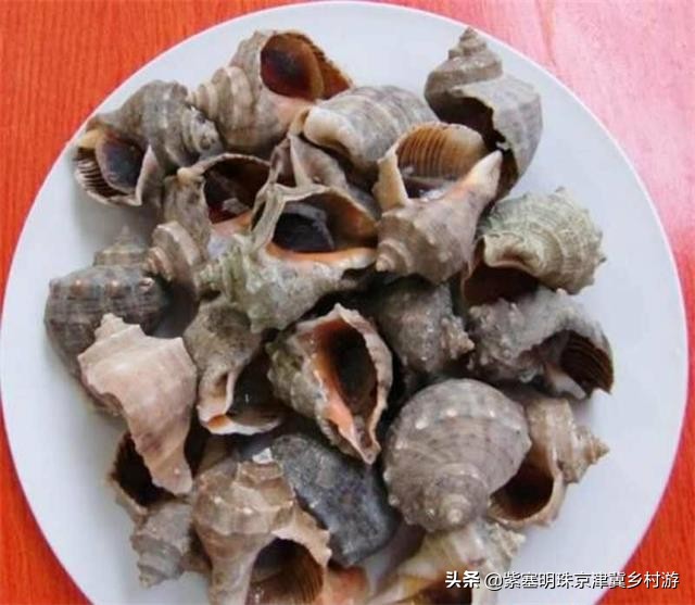 人间六月天，来海岛许一场似水流年——唐山乐亭韩姐农家院