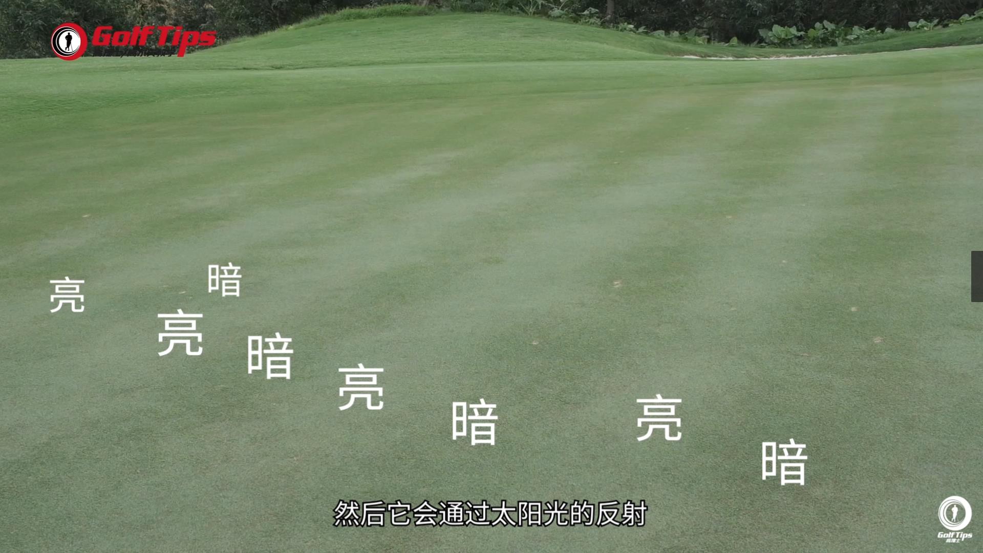 高尔夫球教学读懂果岭视频,果岭快慢区分