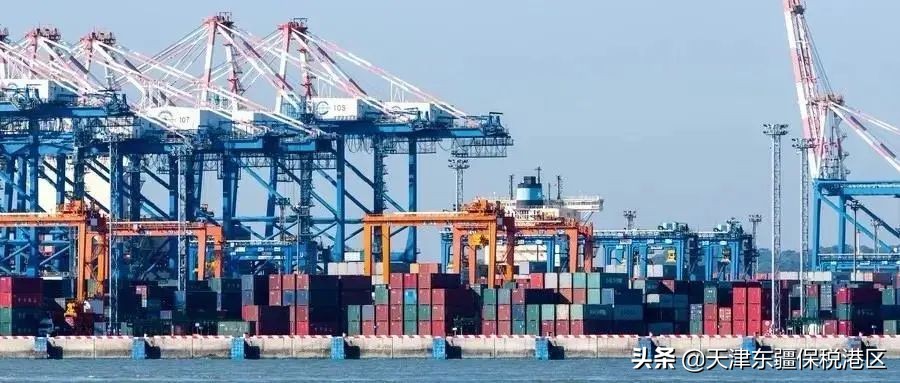 中外海运龙头东疆“箱”遇，达飞陆通落地