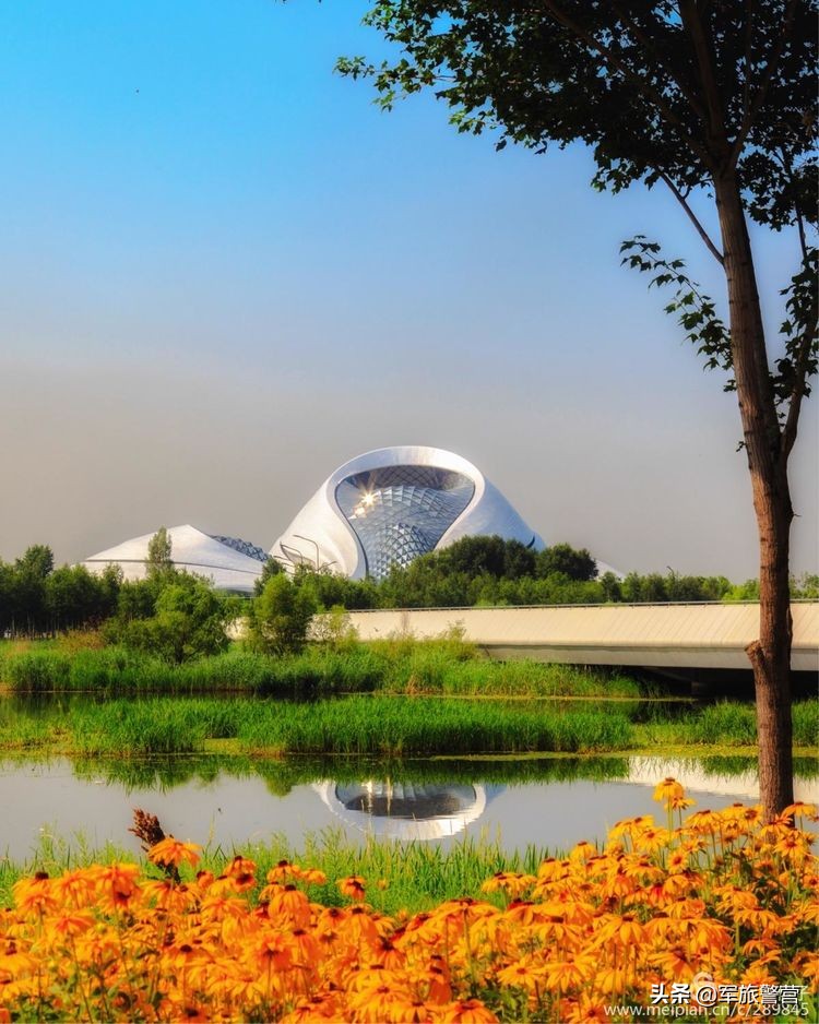 我与大学的初恋,我和我的初恋