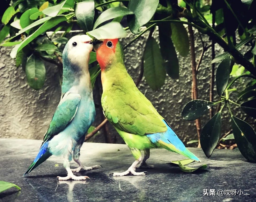 “天人合一”的香港，是我最中意的地方