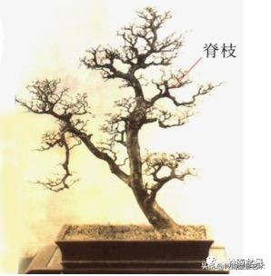 名师讲堂节选视频,名师课例分享及研讨交流