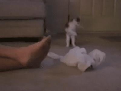 袜元素国家专利防臭袜,解密神奇抗菌防臭袜真正不臭脚