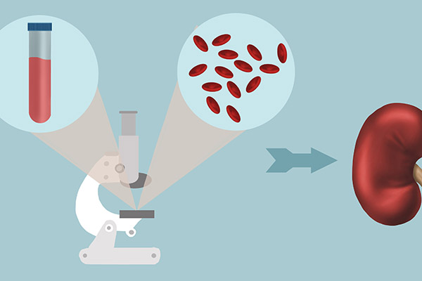 维生素b12和维生素b9的用法,维生素b12和维生素c有什么区别