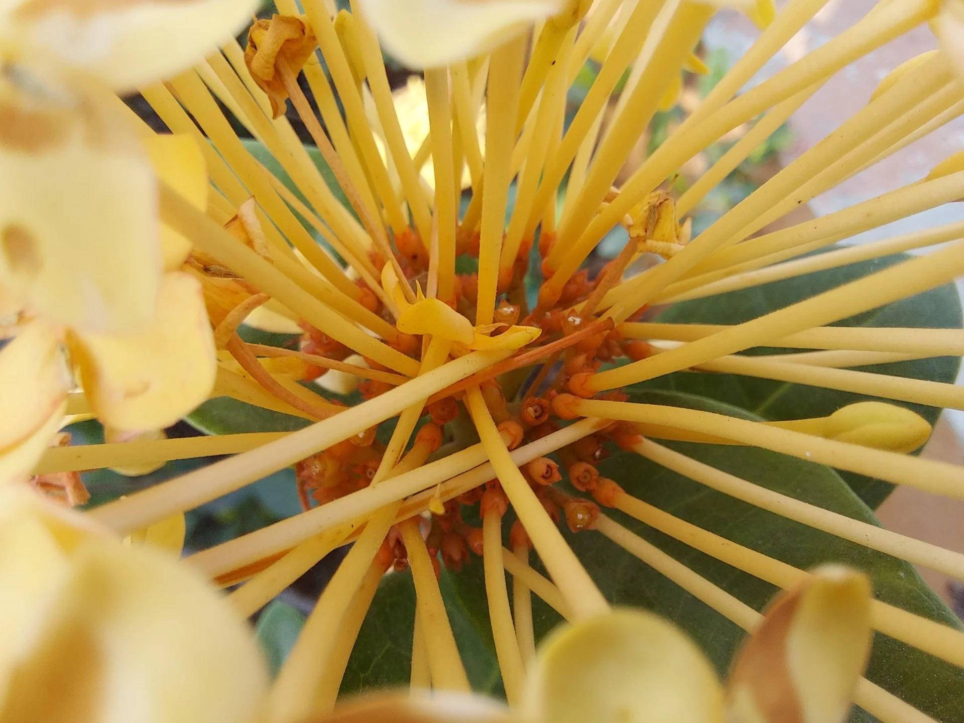 外媒三星galaxys10全系列上手体验,三星galaxys10sm-g9730评测