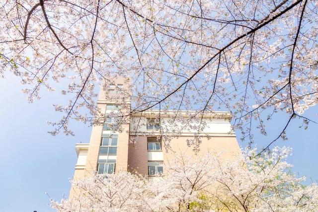 宅家又如何？翻开相册！浙大学子带你进行回忆式线上旅游！