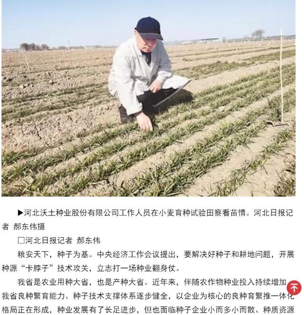 鑲ヤ埂娌冨湡绉嶄笟,鑲ヤ埂娌冨湡绉嶄笟鏈夐檺鍏徃鍦板潃