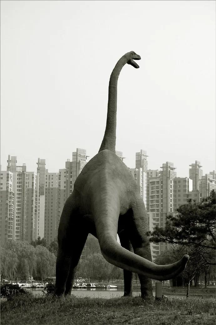 天津绝版老照片,不太老的天津老照片