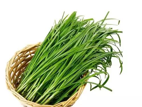 有痔疮吃什么饮食可以缓解,肠胃不好有痔疮的人吃什么食物好