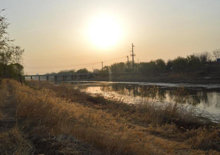 游览鲁迅公园的感悟,游玩鲁迅公园优秀作文