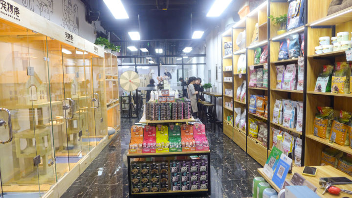 轻奢风格宠物店图片,温馨明亮的宠物店风格