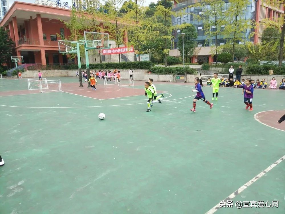 叙府实验小学：小荷尖尖一马当先