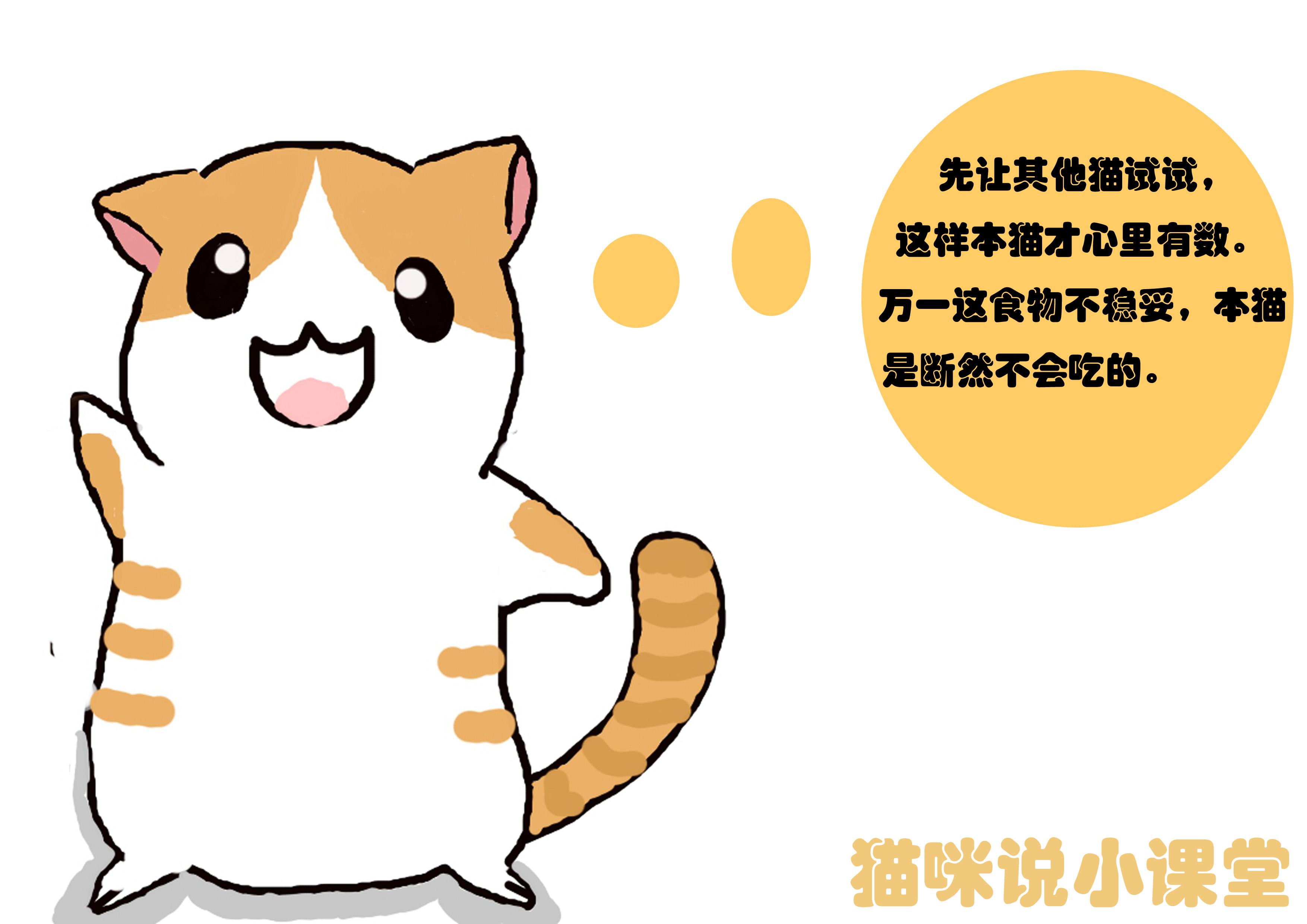 聪明猫都有哪些,聪明幼猫