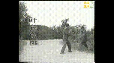 叶底偷桃vs海底捞月,黑龙十八手第四招叶底偷桃