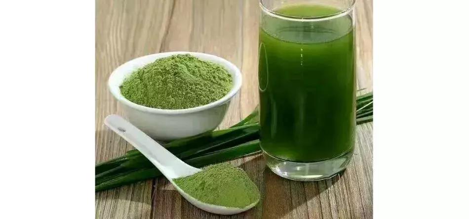 大麦青汁的作用与功效能减肥吗,抹茶味青汁减肥有效吗