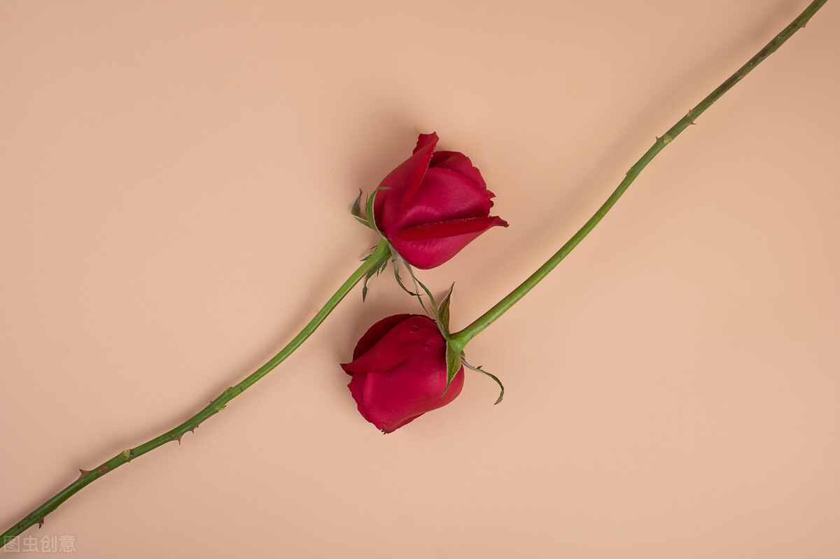 认识网络摄像头,认识手机摄像头