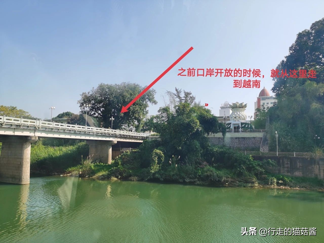 广西的中越边境城市,广西怎么有这么多越南美食