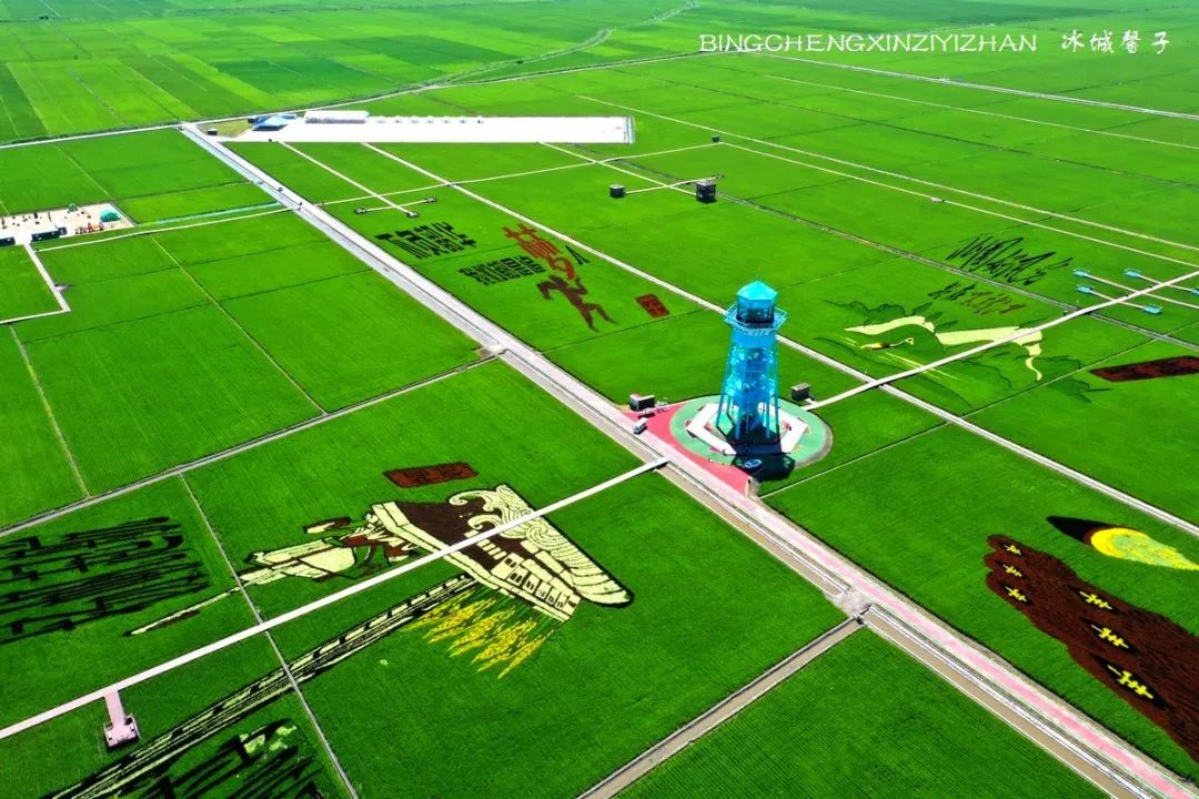 再返富锦，为着那份飘着稻花香的“湿”意约定