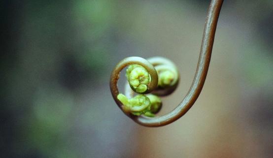 黄帝内经的前列腺增生治疗方法,男士为什么会得前列腺炎