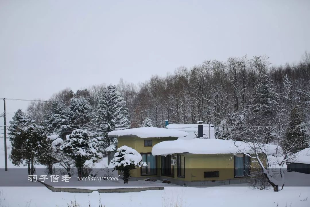 不会日语日本自由行好吗,不会日语的北海道自由行攻略