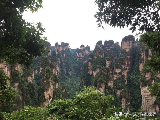 到张家界天门山自助游价格多少钱,武汉到张家界天门山三日游