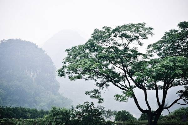 苏东坡趣闻全集,苏东坡趣闻趣事
