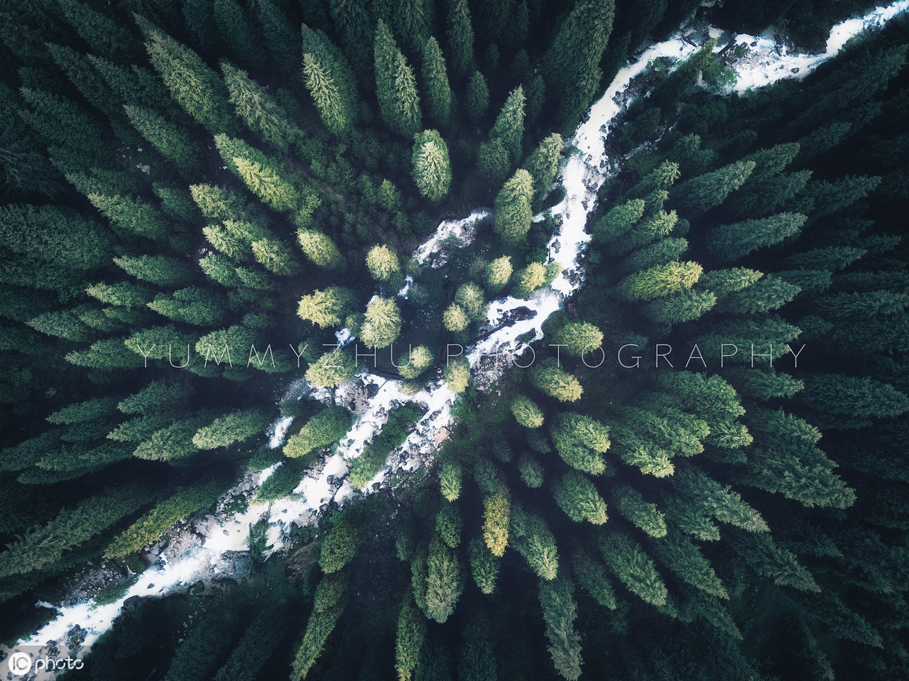 抑郁小姐与香蕉先生：香蕉被称为“快乐食物”