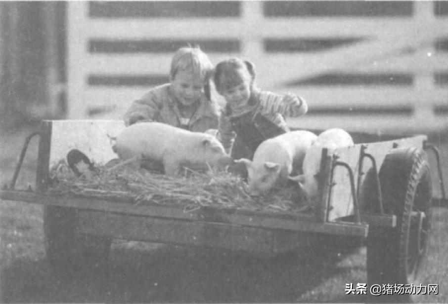 刘自逵:“管好两条通道促进三废排出”