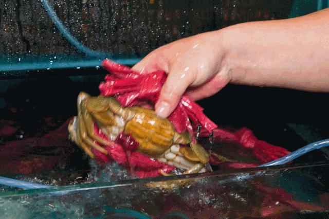 6.8折！「现熬海鲜粥」登陆龙岩！第一口就把我拿下了